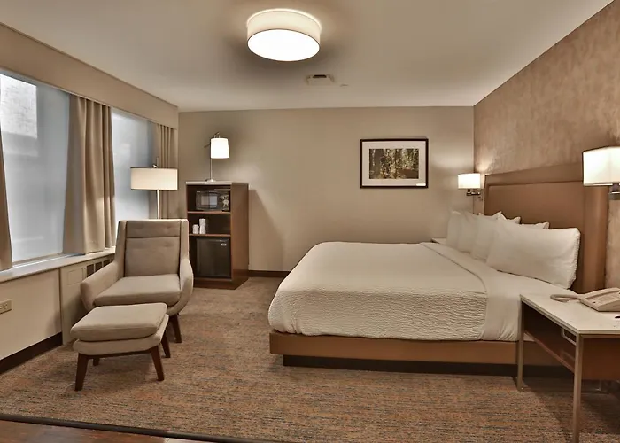 Discover Your Perfect Stay Among Rochester Minnesota Hotels